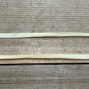 May include: Two long, thin, white bones with rounded ends. The bones are lying parallel to each other on a wooden surface.