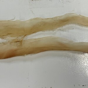 May include: Two long, thin strips of dried fish skin, pale brown in color, with a slightly rough texture. The strips are lying on a white surface.