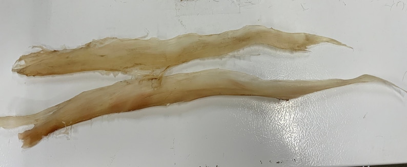 May include: Two long, thin strips of dried fish skin, pale brown in color, with a slightly rough texture. The strips are lying on a white surface.