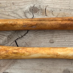 2 Nature Cleaned Deer Leg Cannon Bones Metacarpal Metatarsal