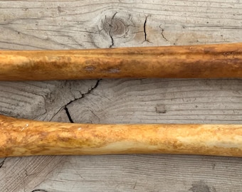 2 Nature Cleaned Deer Leg Cannon Bones Metacarpal Metatarsal