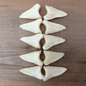 May include: Eight white, triangular-shaped dog treats arranged in rows on a wooden surface.