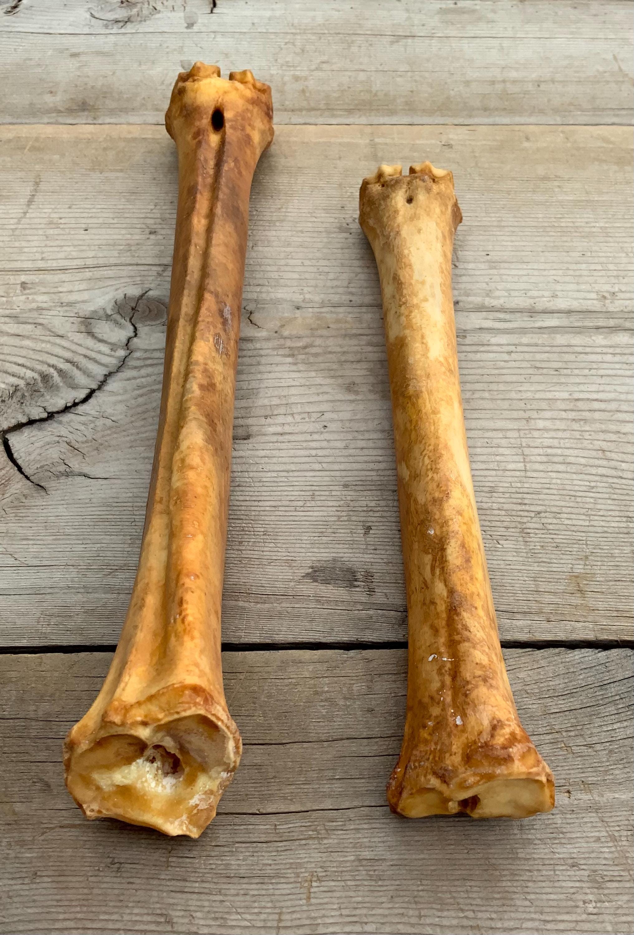 Whtetal Deer Cannon Leg Bone - Etsy