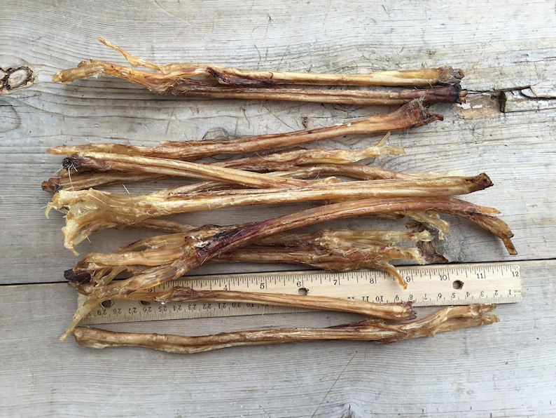 10 Authentic Deer Leg Tendon Sinew Etsy