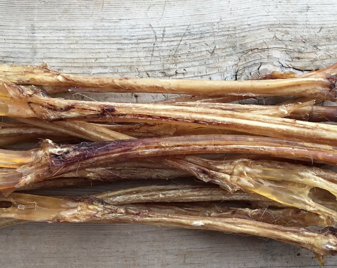 50 Authentic Deer Leg Tendon Sinew Etsy