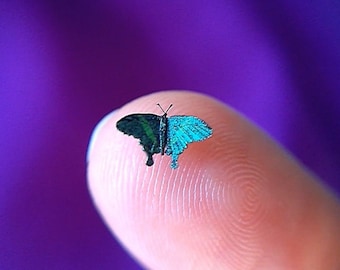 Emerald Swallowtail, Micro Miniature Butterfly, Papilio Palinurus, Dollhouse Scale, 1:12, 1/4" Wingspan, 7mm, AdoreMini
