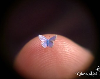 Common Blue, Micro Miniature Butterfly, Polyommatus Icarus, Dollhouse Scale, 1:12, 1/8" Wingspan, 3mm, AdoreMini