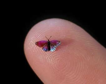 Shining Purplewing, Micro Miniature Butterfly, Eunica Alpais Excelsa, Dollhouse Scale, 1:12, 7/32" Wingspan, 5mm, AdoreMini