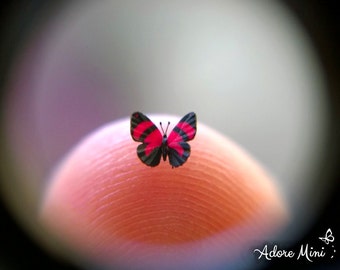 Crimson Callicore, Micro Miniature Butterfly, Callicore Cynosura, Dollhouse Scale, 1:12, 5/32" Wingspan, 4mm, AdoreMini