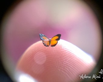 Malayan Sunbeam, Micro Miniature Butterfly, Curetis Santana Malayica, Dollhouse Scale, 1:12, 1/4" Wingspan, 6mm, AdoreMini