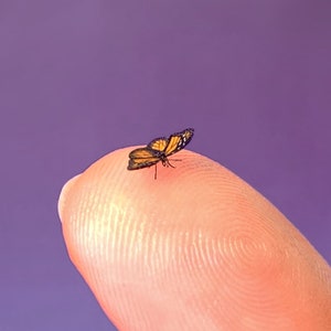 Puede incluir: Una pequeña mariposa con alas naranjas y negras descansa sobre la yema de un dedo. Las alas de la mariposa están abiertas, mostrando patrones intrincados. El fondo es de color morado sólido.