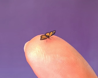 Monarch, Micro Miniature Butterfly, Danaus Plexippus, Dollhouse Scale, 1:12, 5/16" Wingspan, 8 mm, AdoreMini, Free Shipping