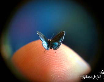 Red Spotted Purple, Micro Mini Butterfly, Limenitis Arthemis Astyanax, Dollhouse Scale, 1:12, 1/4" Wingspan, 6mm, AdoreMini