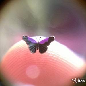 Plain Purplewing, Micro Miniature Butterfly, Eunica Sydonia, Dollhouse Scale, 1:12, 1/4&quot; Wingspan, 6mm, AdoreMini