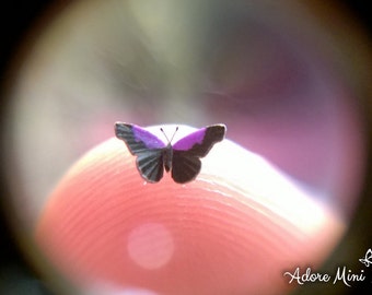 Plain Purplewing, Micro Miniature Butterfly, Eunica Sydonia, Dollhouse Scale, 1:12, 1/4" Wingspan, 6 mm, AdoreMini