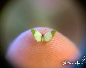 African Mint Green Charaxes, Micro Miniature Butterfly, Charaxes Eupale, Dollhouse Scale 1:12, 7/32" Wingspan, 5mm, AdoreMini