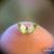 MICRO Mini Garden Snail, 1mm Shell, Handmade 1:12 Scale Miniature Brown ...