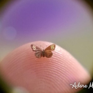 May include: A tiny butterfly with brown and tan wings rests on a fingertip. The butterfly's wings have intricate patterns, and its body is a darker brown. The background is a soft purple and green, with the words "Adore Mini" in the bottom right corner.