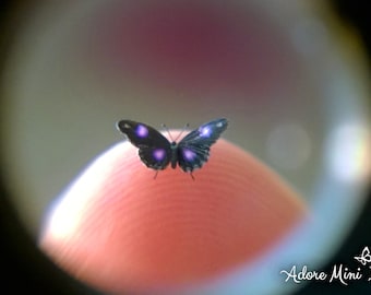 Blue Moon, Micro Miniature Butterfly, Hypolimnas Bolina, Dollhouse Scale, 1:12, 1/4" Wingspan, 6mm, AdoreMini