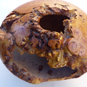 Turned Maple Burl Natural Edge Bowl image 3