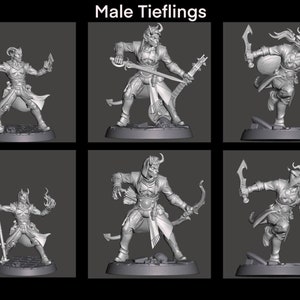 Tiefling Male Player Characters Bard, Rogue, Warlock, Monk, Ranger sized for Dungeons and Dragons 5e
