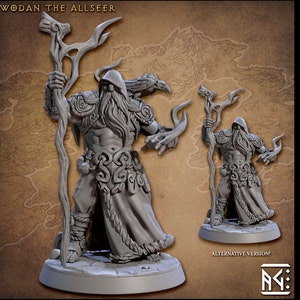 Odin with Raven ,Medium sized for DND