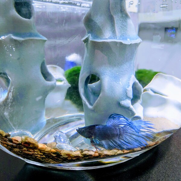 Fish Tank Decor Etsy