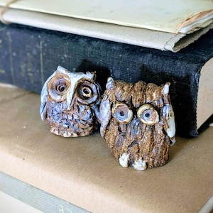 May include: Two small ceramic owl figurines with textured surfaces. The left owl features blue and brown tones with prominent circular eyes, while the right owl is primarily brown with a rough, bark-like texture and two distinct, light-colored eyes.