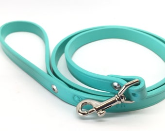 tiffany dog collar and leash