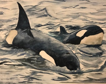 May include: A watercolor painting of two orcas swimming in the ocean. The orcas are black and white with a white patch on their bellies. The water is a light blue color and there are waves in the background.