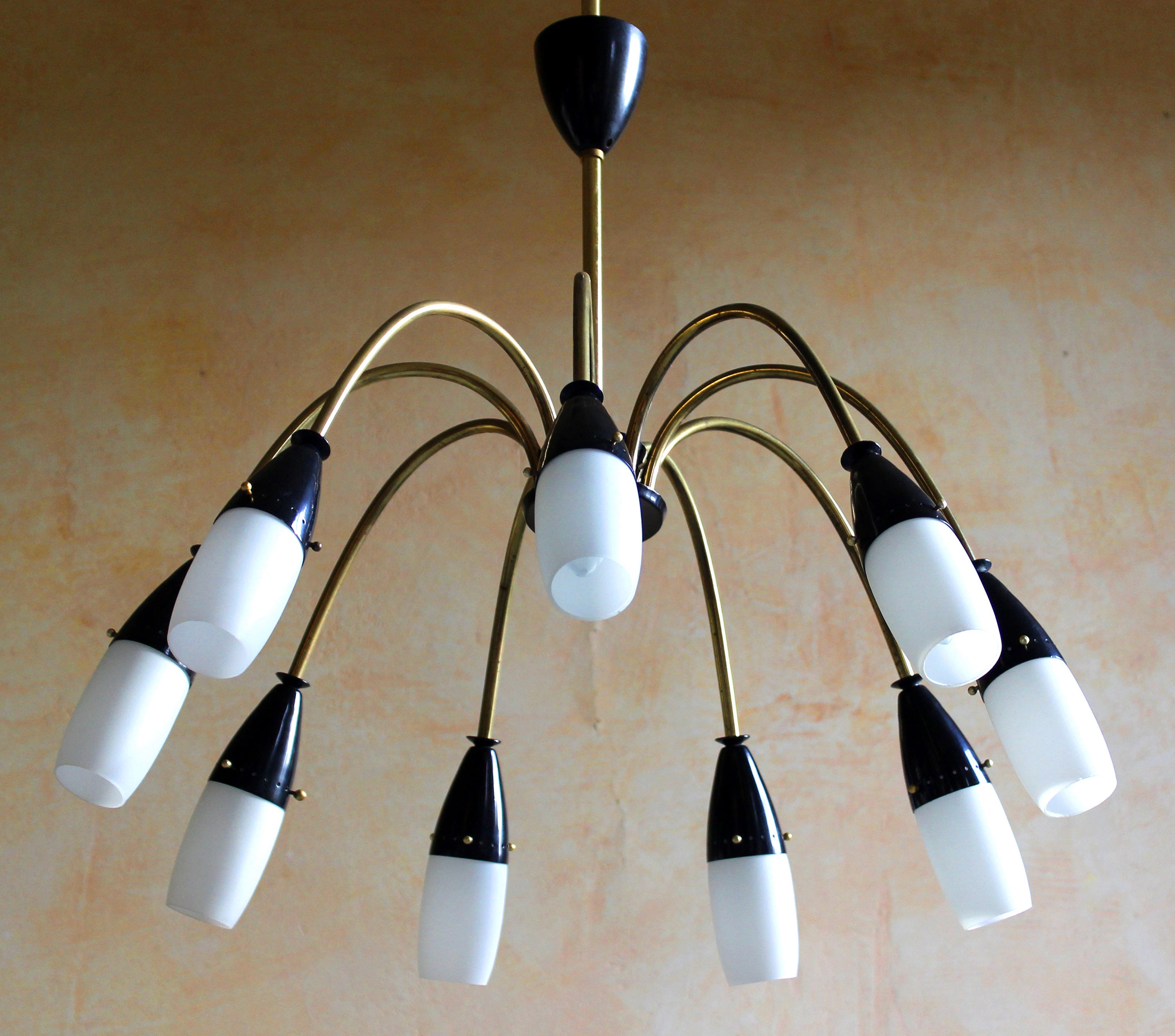 Araignée Lustre 1 De