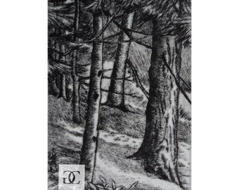 Forest Light: Original, Limited Edition, Black & White, Hand-printed Drypoint Intaglio Print