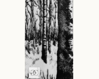 Birch Forest #2: Original, Limited Edition, Black & White, Drypoint Intaglio Print