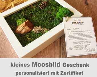 moosbild pflanzenbild echtes moos wand bild mit kugelmoos flachmoos rinde moosbilder vertikaler garten wanddeko personalisierbar  geschenk