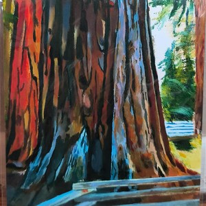 PRINT of California Redwood Tree