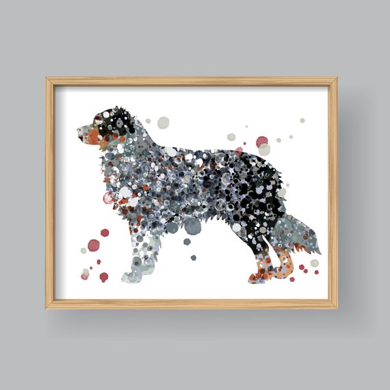 australian shepherd wall art