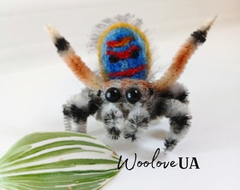 Realistic Needle Felted Jumping Peacock Spider Male – Handmade Wool Toy, Halloween Decor