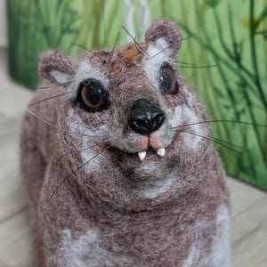 Needle felted hyrax/lifelike hyrax plush/rock hyrax figurine/custom made/felted animals