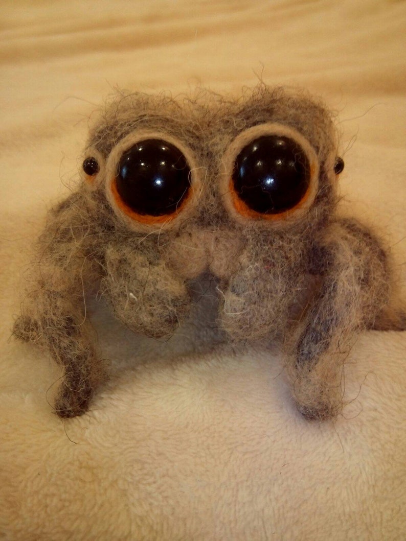 Needle felted jumping spider/cute spider toy/ecofriendly toy Etsy
