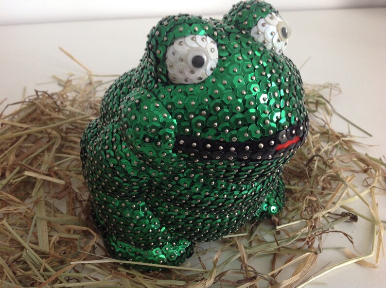 Pailletten Frosch Bild 3