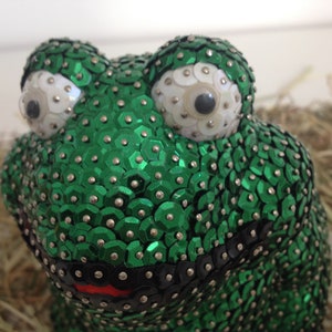 Pailletten Frosch Bild 5