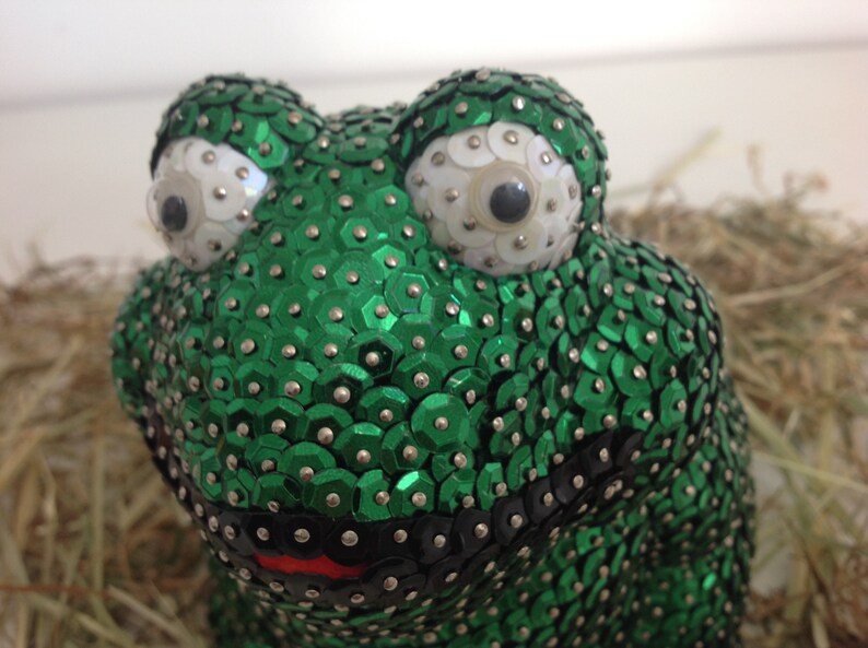 Pailletten Frosch Bild 5