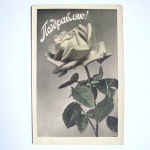 Vintage 60er Jahre Postkarte mit Rose, signiert und versandt, mit Briefmarken, Grußkarte zum Sammeln, Glückwunschkarte, Made in USSR