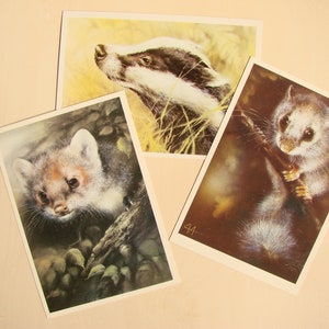 cartes postales soviétiques vintage des années 80, 3 psc, Animaux mignons, Martre, Blaireau, Loir, Impression d’art, Images pour enfants, Non signé, Fabriqué en URSS