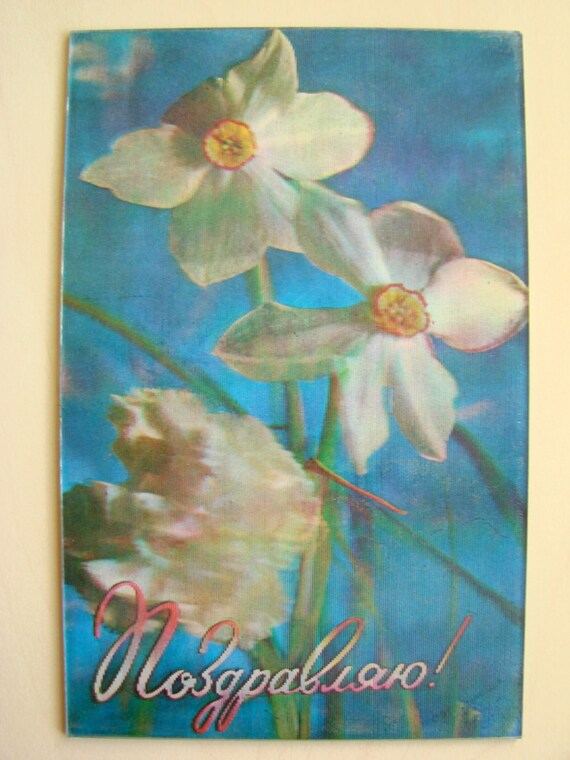 3 Colorful Vintage Flowers 3D Lenticular Postcard Greeting Card