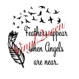 20cm Vinyl quote phrase Robins appear when Angels are near  frame plaque sticker 