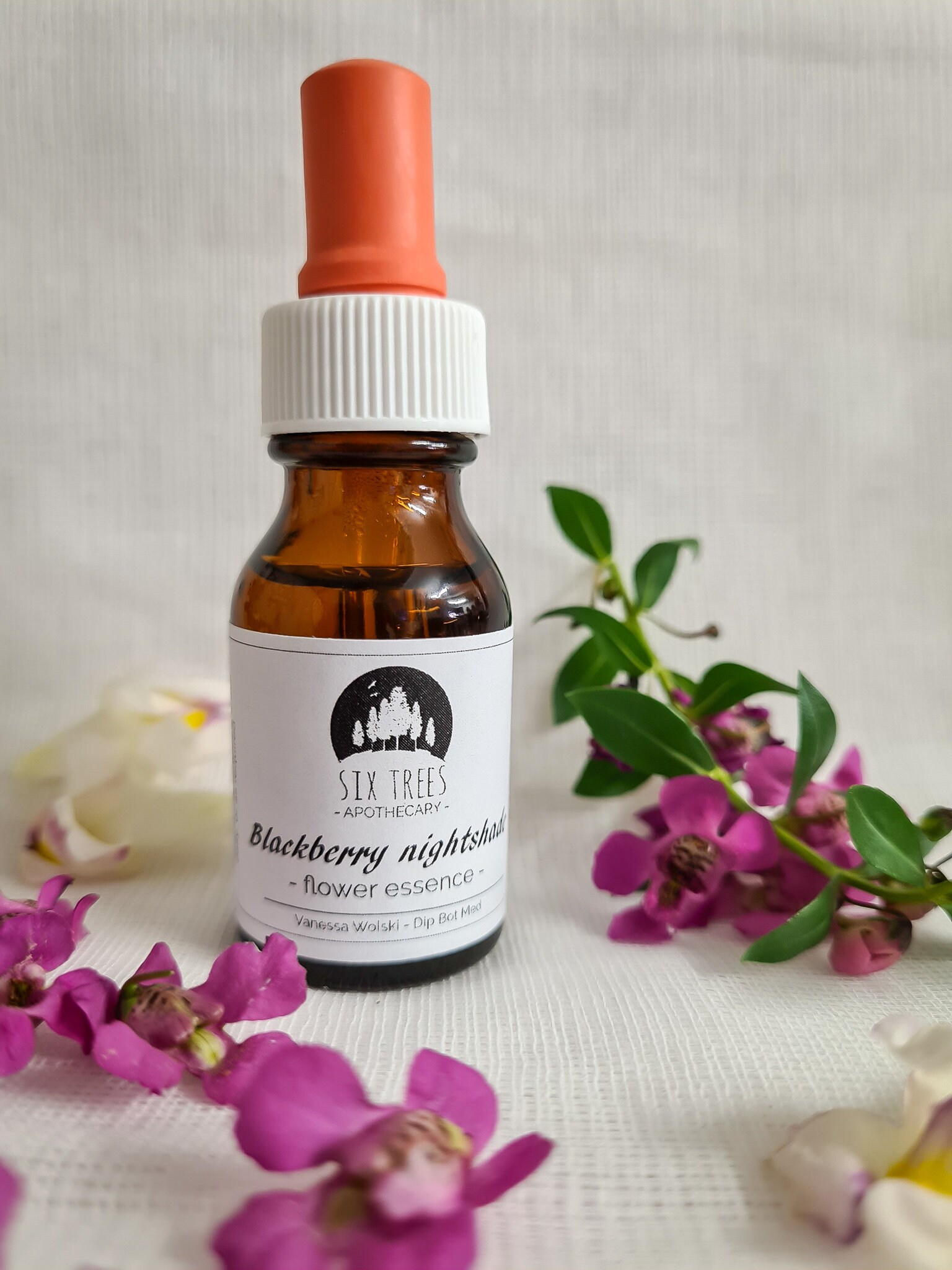 Blackberry Nightshade Flower Essence 15ml / Meditación / Aprendizaje