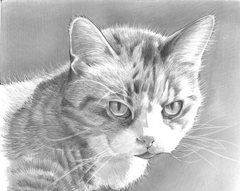 Custom Hand Drawn Pet Portrait from Photo, Pet Memorial Gift, Pet Loss, Dog / Cat Birthday, Puppy, Kitten, Animal, Bird, Personalized Gift