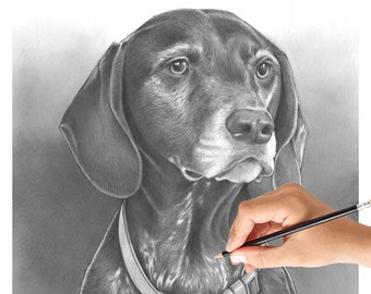 Hand Drawn Pet Portrait From Photo, Gift for Dog Mom, Pet Memorial, Pet loss, Deceased Pet, Pet Birthday Gift, Personalized Dog/Cat Portrait