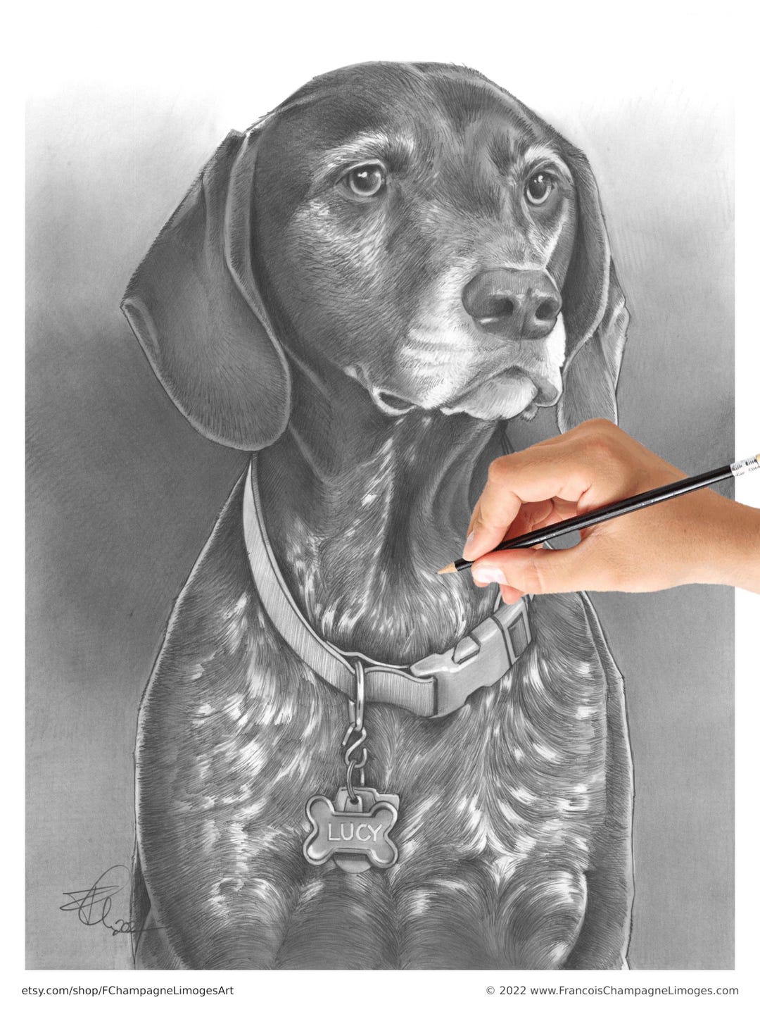 100% Handmade, Custom Hand Drawn Pet Portrait From Photo, Graphite ...